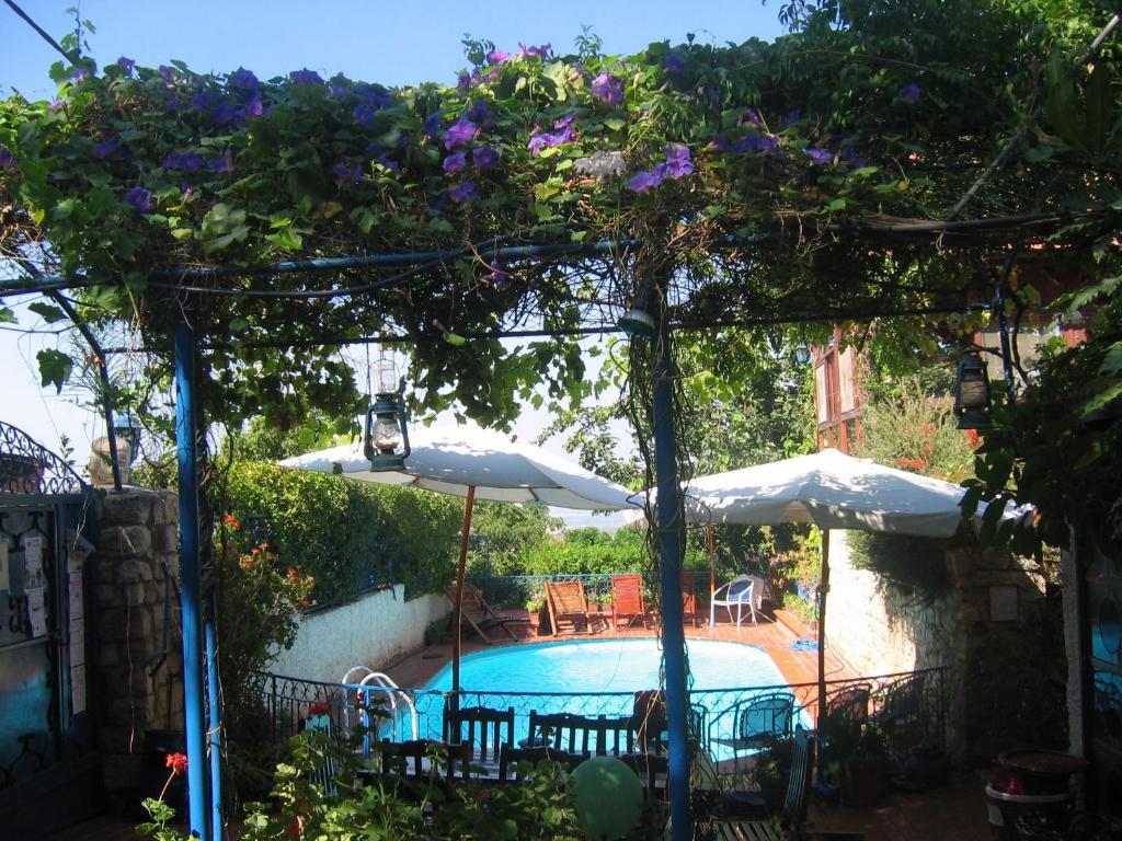Villa Tehila - By V Club Chain Roș Pina Exterior foto